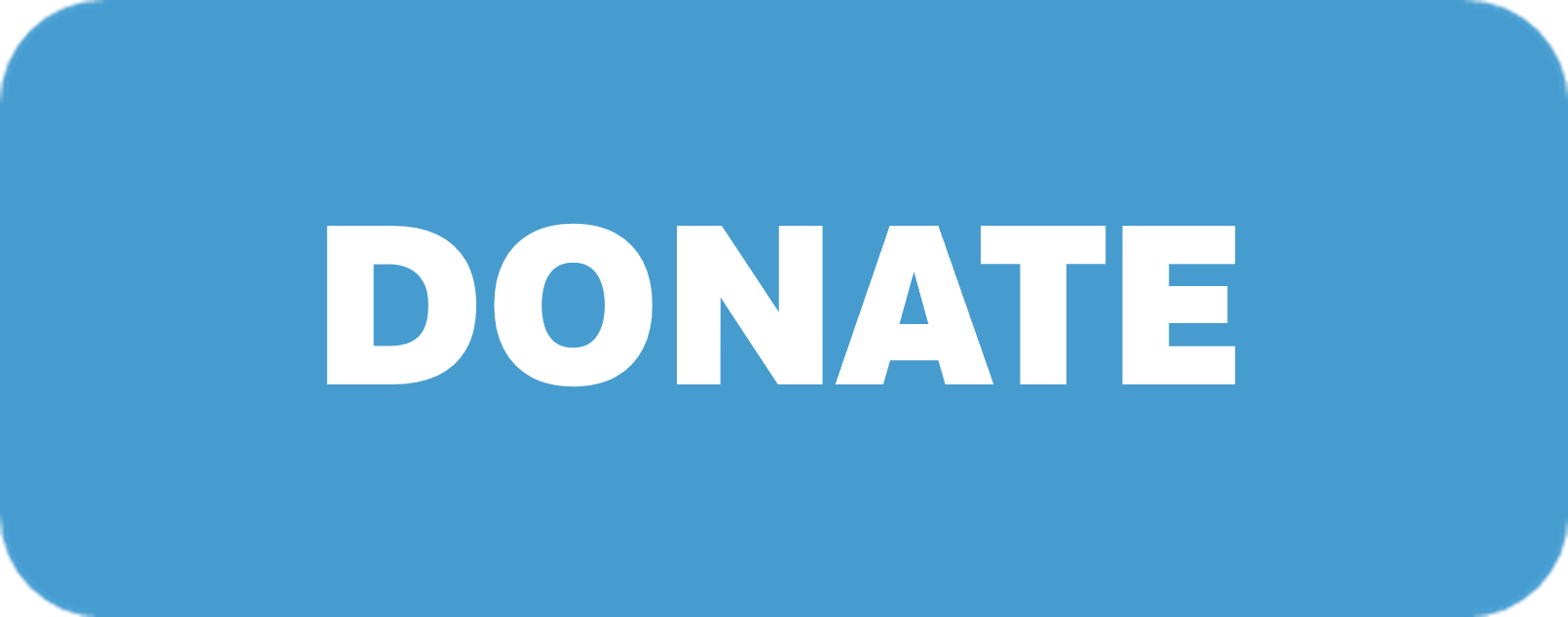 make a one-time donation to literature and history on the website