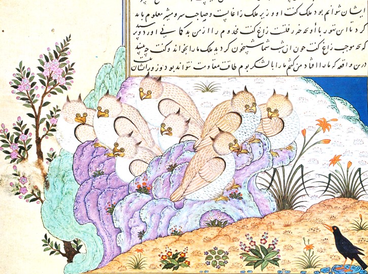 crow counselor with owls